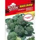 Brokula Corvet Maxi Royal Seeds